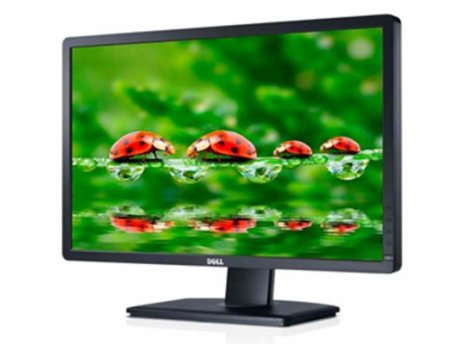 DELL P2412H