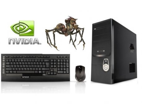 BC GROUP SPIDER