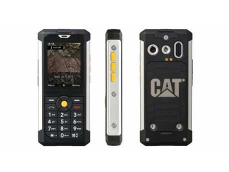 CAT B100