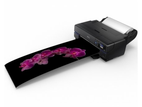 EPSON SureColor SC-P800