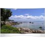 LG 55EA980V 3D OLED Full HD - slika 1