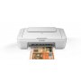 CANON PIXMA MG2950 - slika 1