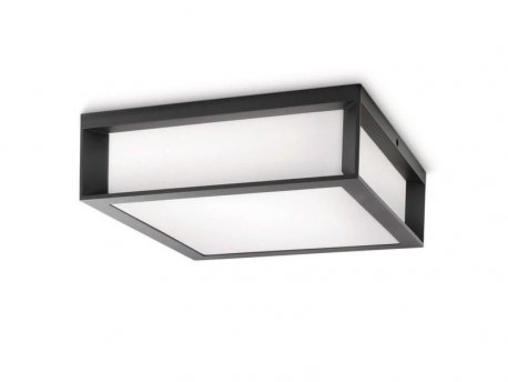 PHILIPS Skies spoljašnja plafonska svetiljka antracit 2x14W 17184/93/16
