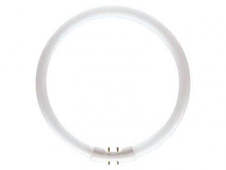 PHILIPS MASTER KRUŽNA FLUO CEV 60W/830 PS078