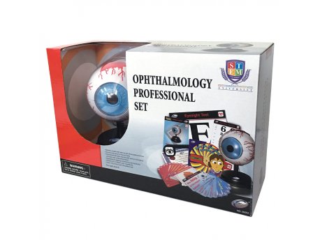 EASTCOLIGHT Anatomija oka set 24253