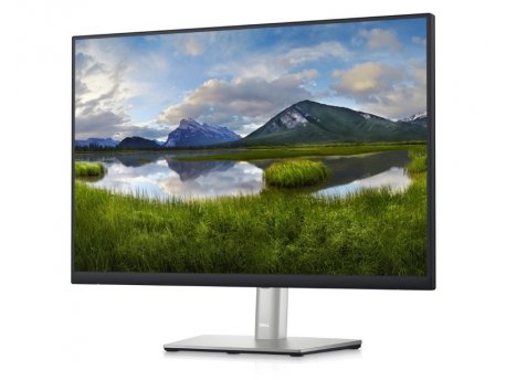 DELL P2423 Professional IPS monitor