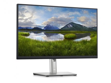 DELL P2423D QHD Professional IPS