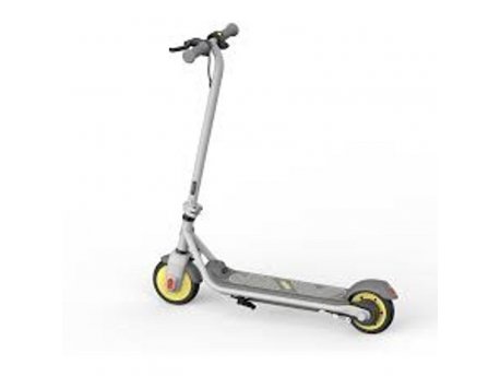 SEGWAY Električni trotinet Ninebot Zing C10 AA.00.0011.56