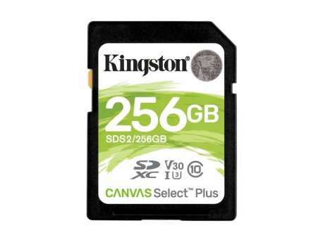 KINGSTON Select Plus Klasa10 256 GB SD