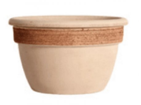 Degrea Saksija 37 cm campanella graffiata terracotta ( DE 1337 )