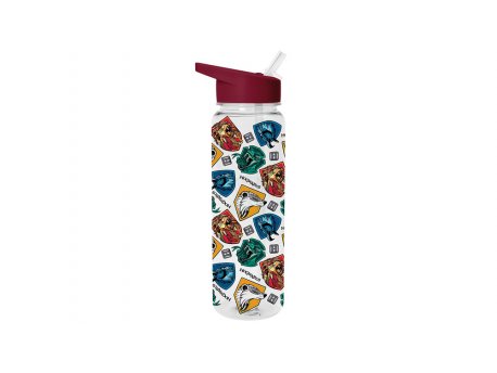 Pyramid International Harry Potter (Stand Together) Plastic Drinks Bottle