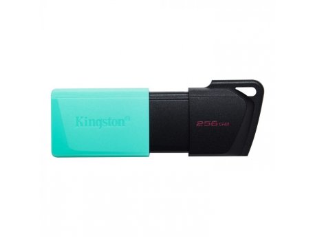 KINGSTON Fleš Pen 256GB DataTraveler Exodia M 3.2