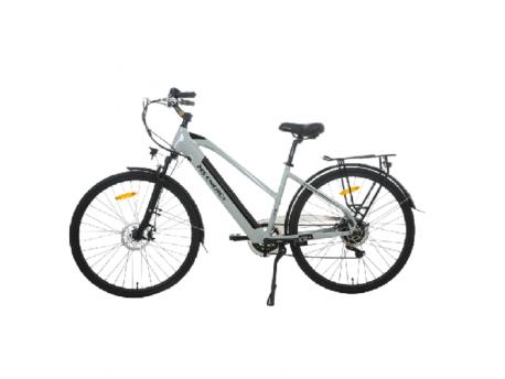 MS ENERGY eBike c12