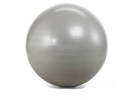 HAWK Pilates lopta 55cm silver