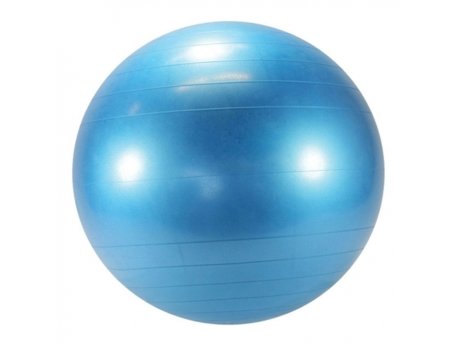 LEDRAPLASTIC Lopta Body ball 95