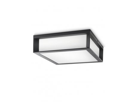 PHILIPS PH066 spoljašnja zidna - plafonska svetiljka Skies max 2x42W 230V antracit