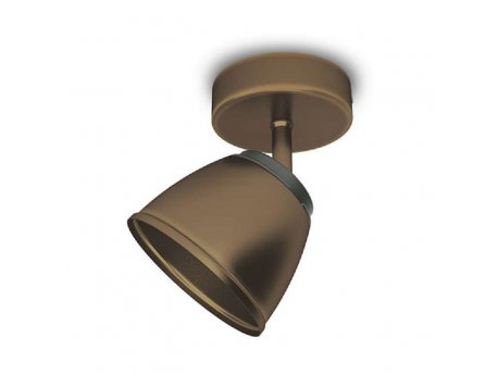 PHILIPS Reflektorska lampa County single spot bronza 53350/06/16