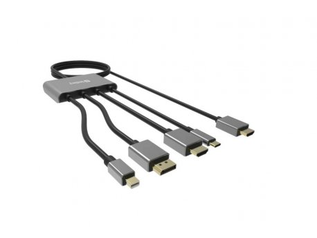 Sandberg Kabl-display HUB All-In-One USB C/DP/m DP/HDMI - HDMI 2m 509-21