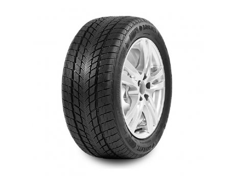 DAVANTI Wintoura 195/65 R15 91T