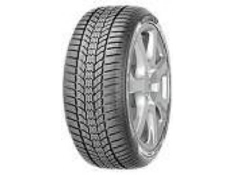 Sava Eskimo HP2 245/45 R18 100V XL