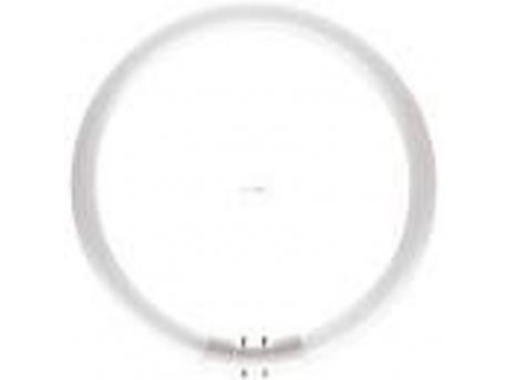 PHILIPS MASTER TL5 CIRCULAR TL5-C 60W/840