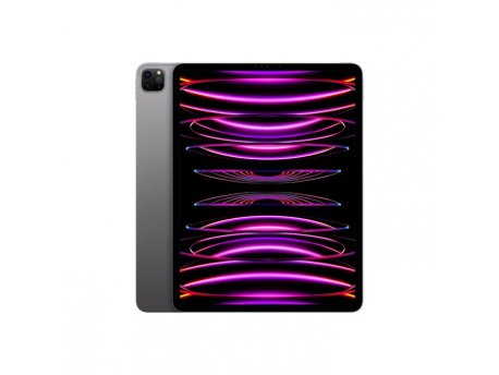 APPLE 12.9-inch iPad Pro (6th) Wi_Fi 256GB - Space Grey (mnxr3hc/a)
