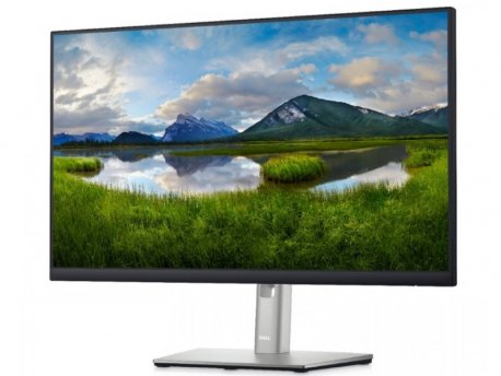 DELL P2422H Professional IPS monitor 23.8, 5ms