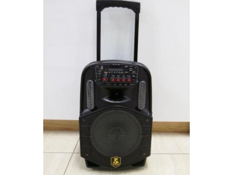 DOT Bluetooth karaoke zvučnik CH-86 sa mikrofonom