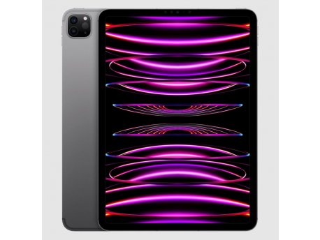 APPLE 11-inch iPad Pro Wi-Fi 128GB - Space Grey ( mnxd3hc/a )