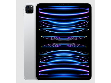 APPLE 11-inch iPad Pro  Wi-Fi 256GB - Silver ( mnxg3hc/a )