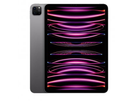 APPLE 11-inch iPad Pro Wi-Fi 512GB - Space Grey ( mnxh3hc/a )