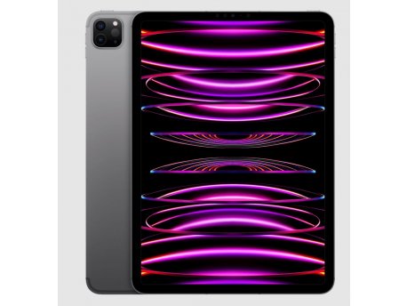 APPLE 11-inch iPad Pro Wi-Fi 1TB - Space Grey ( mnxk3hc/a )