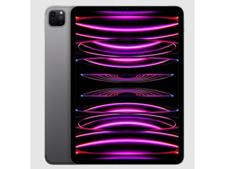 APPLE 11-inch iPad Pro Wi-Fi 2TB - Space Grey ( mnxm3hc/a )