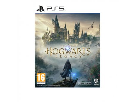 Warner Bros PS5 Hogwarts Legacy