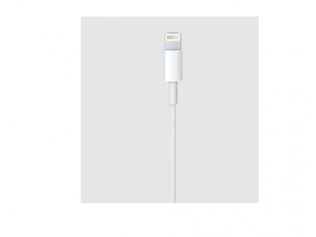 APPLE Lightning to USB Cable (1 m) ( mxly2zm/a )