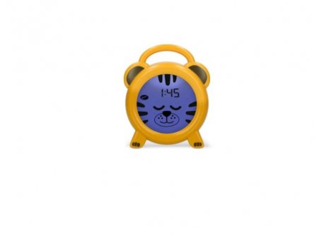 Alecto BC-100 TIGGER SAT, ALARM