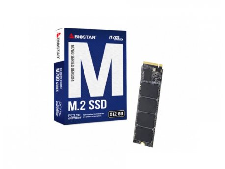 BIOSTAR SSD  M.2 NVMe 512GB M760-512GB (28652)