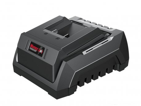 WOMAX Brzi punjač P20 GP-LG S20-2.4 71220204