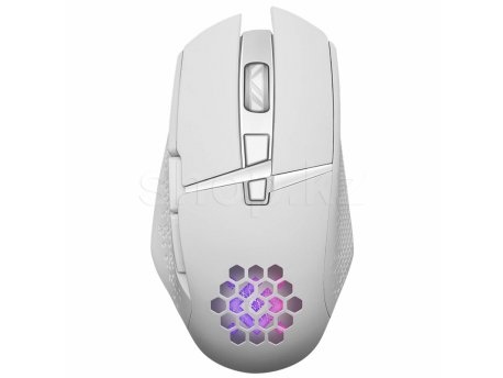 DEFENDER Miš Glory GM-514 White