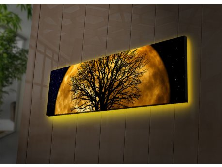 WALLXPERT Dekorativna slika 3090DACT 71