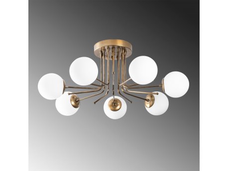 OPVIQ Luster Daisy 146 AV