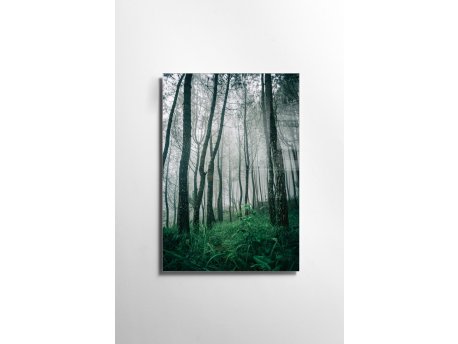 WALLXPERT Dekorativna slika 1150 70 x 100