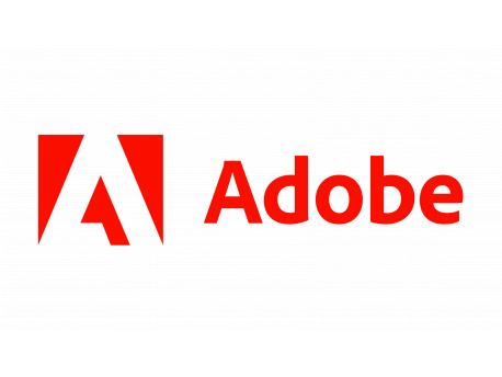 Adobe InDesign for teams