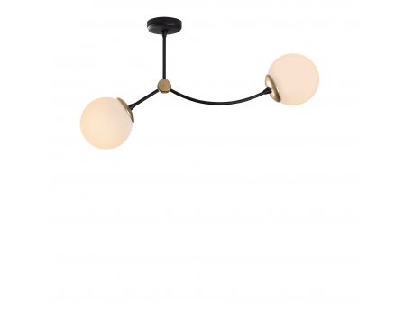 OPVIQ Luster Kromozom 1011