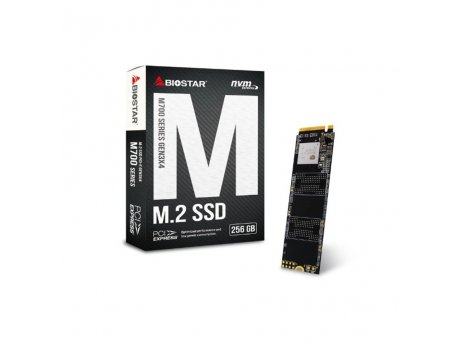 BIOSTAR SSD M.2 NVMe 256GB M720 3350MBs/1300MBs