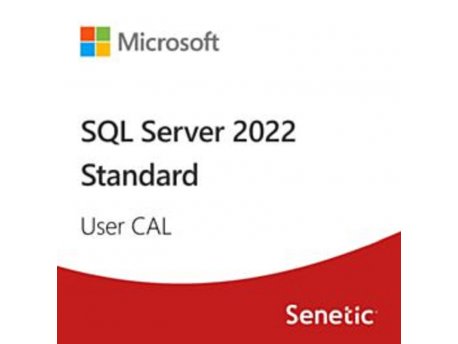 MICROSOFT SQL Server 2022 - 1 User CAL (DG7GMGF0MF3T-0002-CO)