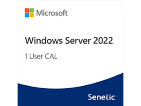MICROSOFT Windows Server 2022 - 1 User CAL (DG7GMGF0D5VX-0007-CO)