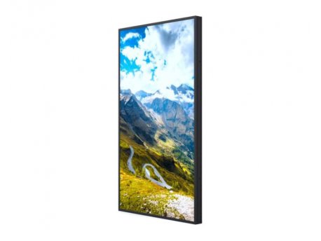 Hisense 55 inča 55WF25E Window Facing - 2500 nita High Brightness Display