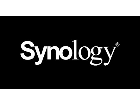 SYNOLOGY Network Interface Cards E10G22-T1-Mini