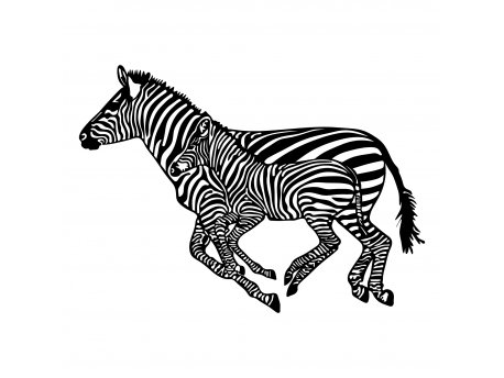 WALLXPERT Zidna dekoracija Zebras